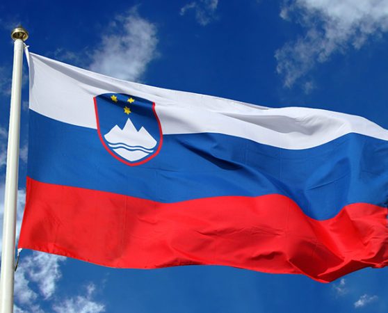 FOTOGRAFSKI NATEČAJ OB PRAZNOVANJU 30. LETNICE SLOVENSKE OSAMOSVOJITVE